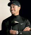 Tiger Woods 20710978