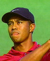 Tiger Woods 20710987