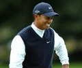 Tiger Woods 20710995