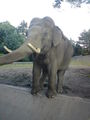 hagenberg-Der Zoo in Hamburg 56160177