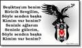 Besiktas 5746684