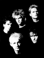 Die Toten Hosen 4249611