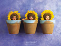 Anne Geddes 20708445