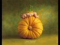 Anne Geddes 20708448