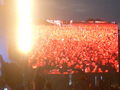 Rock im Park 2008 39422020