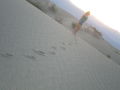 Death Valley u.a. 45845810