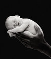 Anne Geddes 21214908