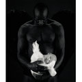 Anne Geddes 21214914