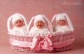 Anne Geddes 21214930