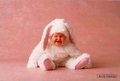 Anne Geddes 21214936