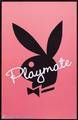 Playboy 4438841