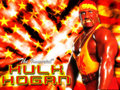 Hulk Hogan 27069296