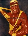 Hulk Hogan 27069301