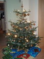 Weihnachten 08 50857191