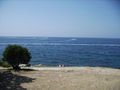 Urlaub 2008 in Kroatien 44265776