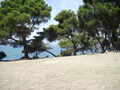 Urlaub 2008 in Kroatien 44266383