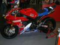 DIE BIKE 2005 4297405