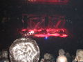 MetallicA, 14.05.09, Wien 59425349