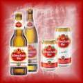 des mocht gaudi 8510279