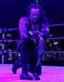 The Undertaker! 50748139