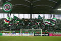 SK Rapid und Ultras 7958851