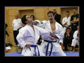 Karate Staatsmeisterschaft Wels Budokan 17499946