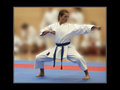 Karate Staatsmeisterschaft Wels Budokan 17499966