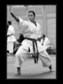 Karate Staatsmeisterschaft Wels Budokan 17500107