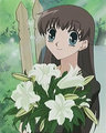 Fruits Basket 17817644