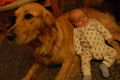 Mein Neffe und mein Hund 55000907