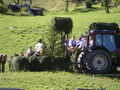 Auf der Alm 36196493