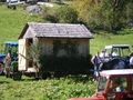 Auf der Alm 36198028