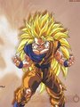 Dragonball Z Pics 16938027