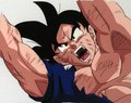 Dragonball Z Pics 16938056