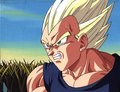 Dragonball Z Pics 19459072