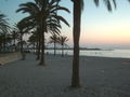 MaLlOrCa....;) 67763095