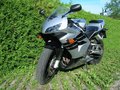 Honda CBR 600 RR 21539635