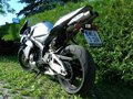 Honda CBR 600 RR 21540358