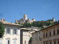 Assisi 13.-19. Juli 2oo8 41505134