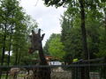 Tiergarten Wels 06.2008 40189542