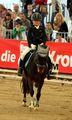 Pferd Wels 2008 38727760