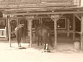 Pullman City 40861507