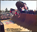 ToNy HaWk 19324026