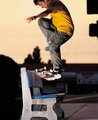 RoDnEy MuLLeN 19385123