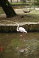 Jardin zoologique à Haag 64473428