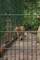 Jardin zoologique à Haag 64474511