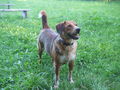 HuNd NeU 64822994