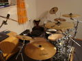 Drums... 58567104