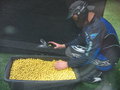 Paintball 25324221