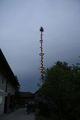 Maibaum stellen 58600990